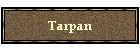 Tarpan